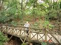 NJ_NY 213